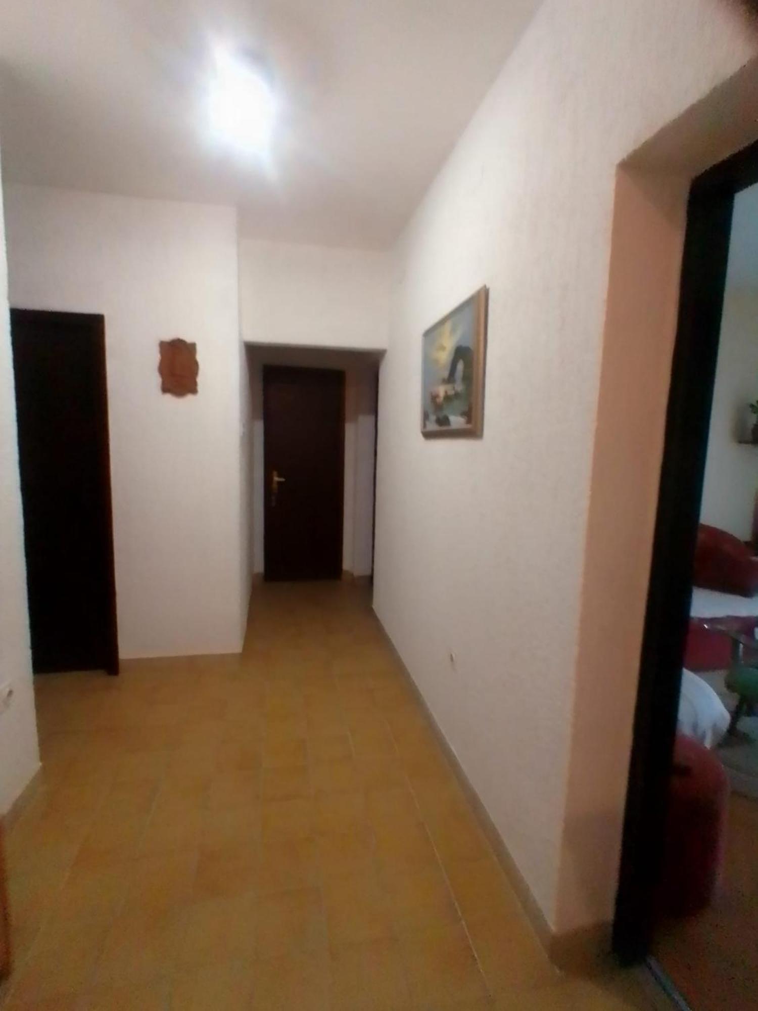 App Antonic Zrinka Apartment ซริกเวนิซา ภายนอก รูปภาพ